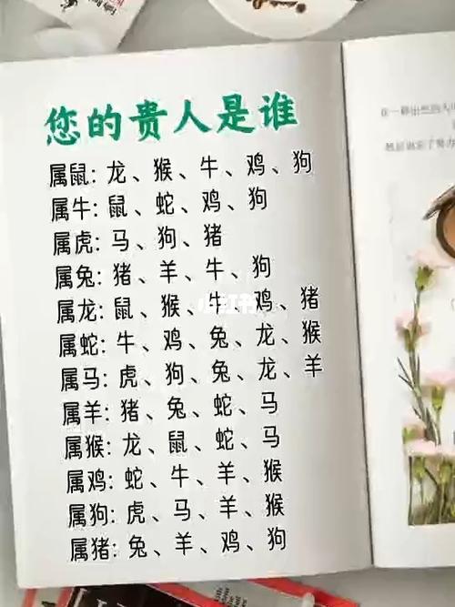 十二生肖精准资料大全澳门,最新热门解析实施_精英版121,127.13