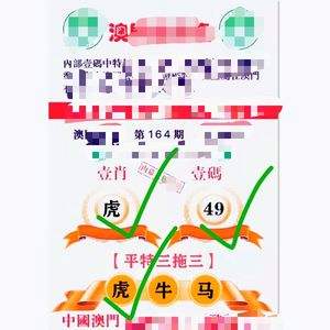 澳门正版资料全年免费公开精准,最新答案动态解析_vip2121,127.13