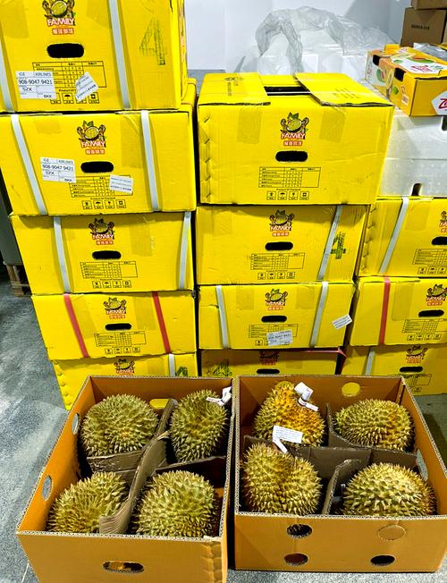 金枕榴莲降价300多,金枕榴莲22元一斤贵吗